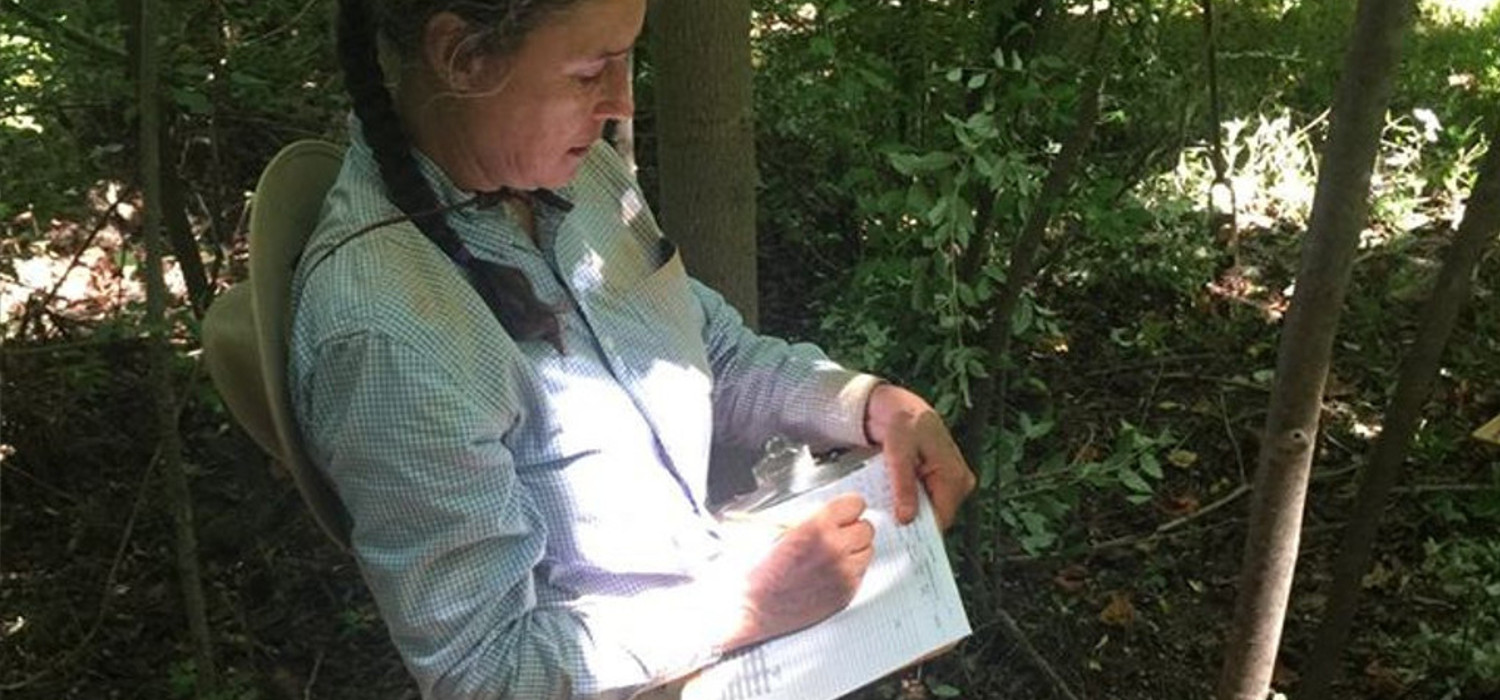 collecting data in the field image