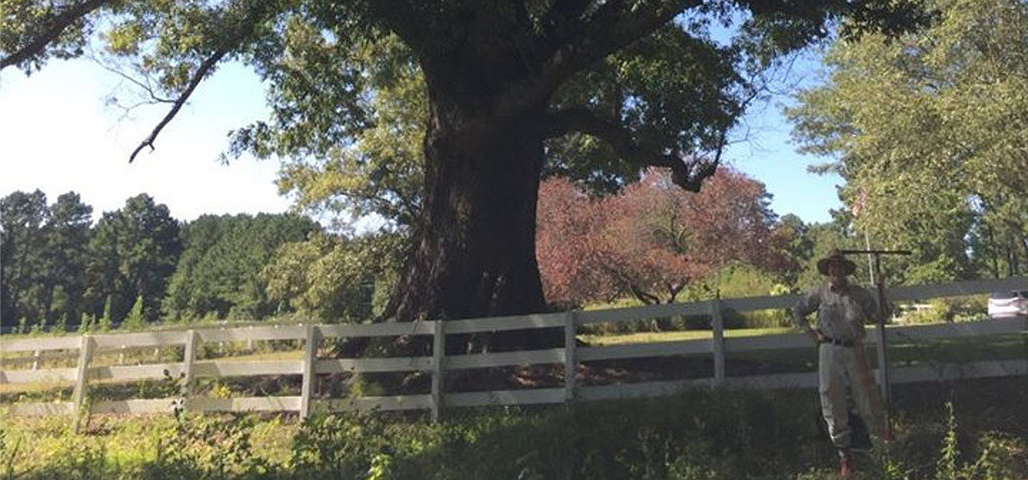 Dolores Chandler soil scientist